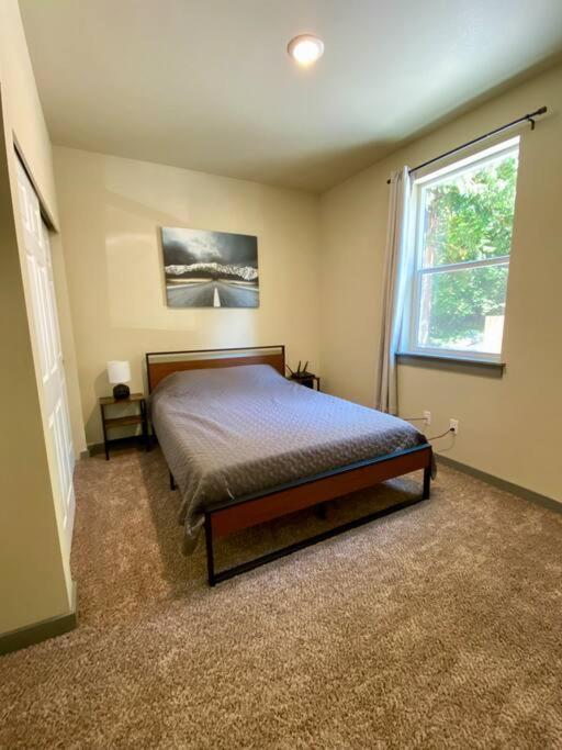 New Modern Cabin! 5Mi To Mt Rainier National Park! Hot Tub & Wifi أشفورد المظهر الخارجي الصورة