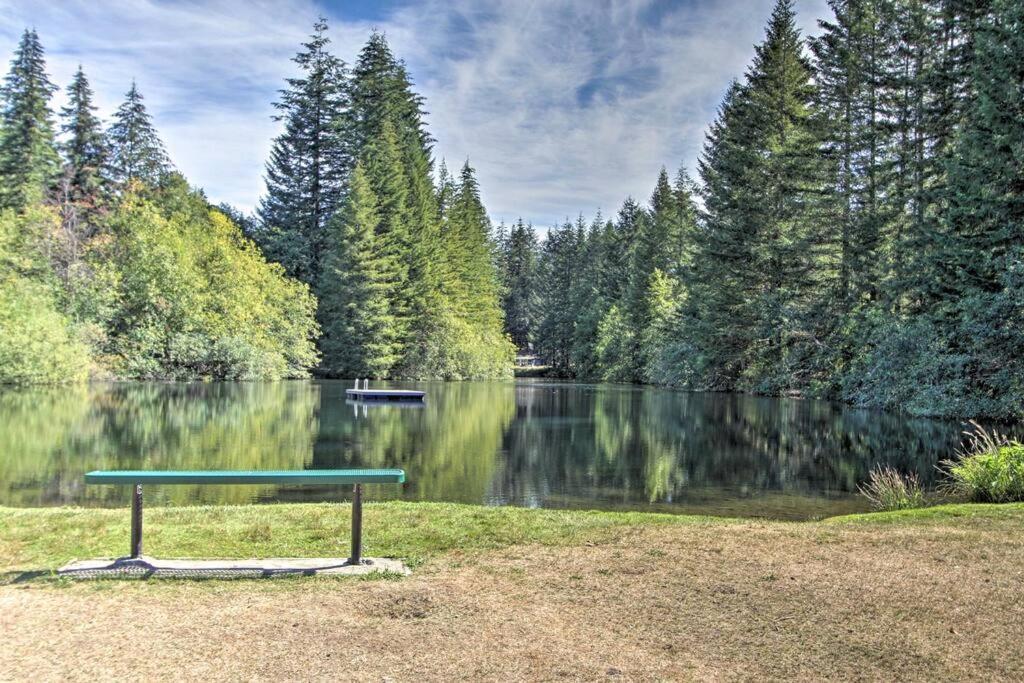 New Modern Cabin! 5Mi To Mt Rainier National Park! Hot Tub & Wifi أشفورد المظهر الخارجي الصورة