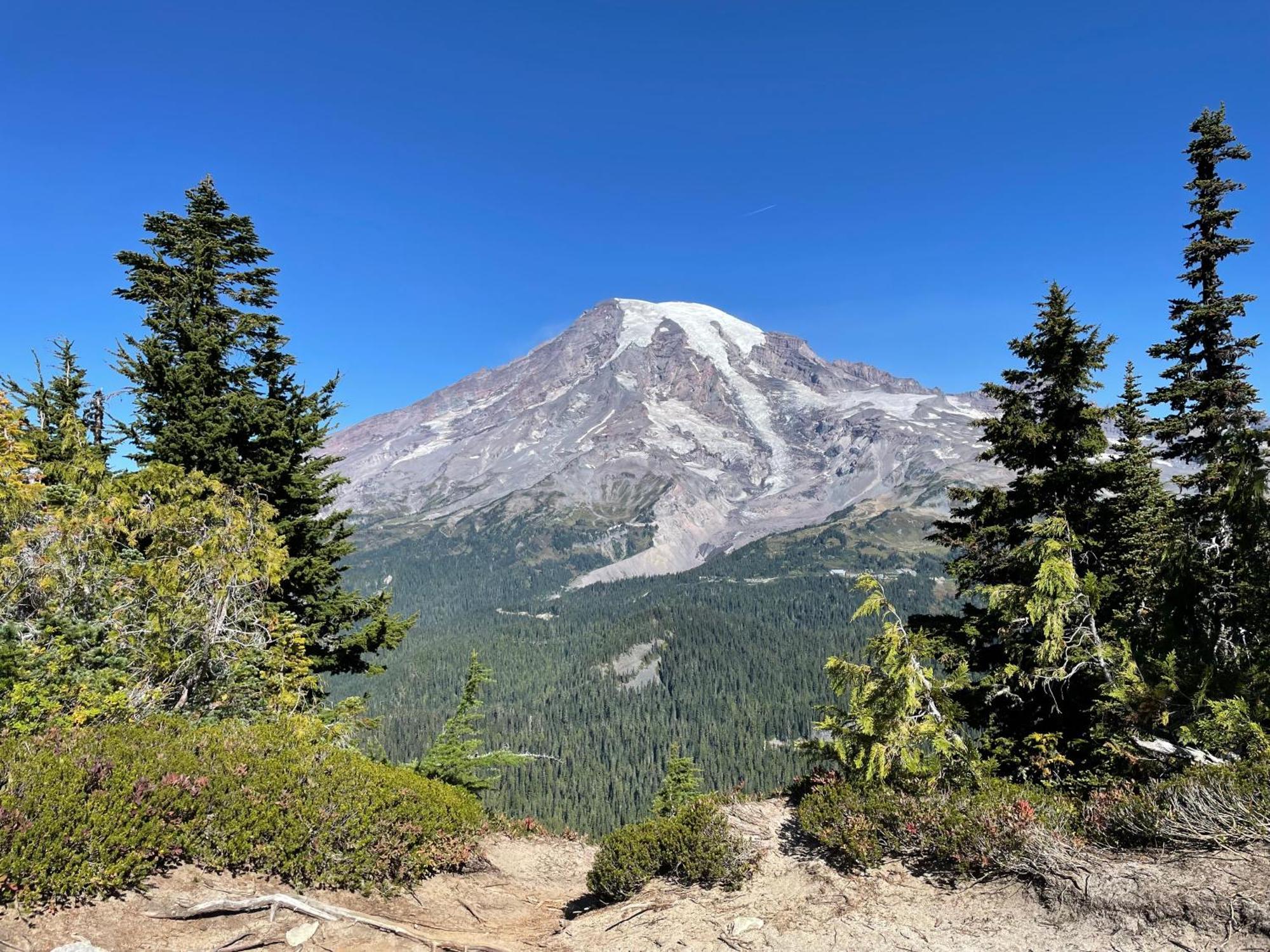 New Modern Cabin! 5Mi To Mt Rainier National Park! Hot Tub & Wifi أشفورد المظهر الخارجي الصورة