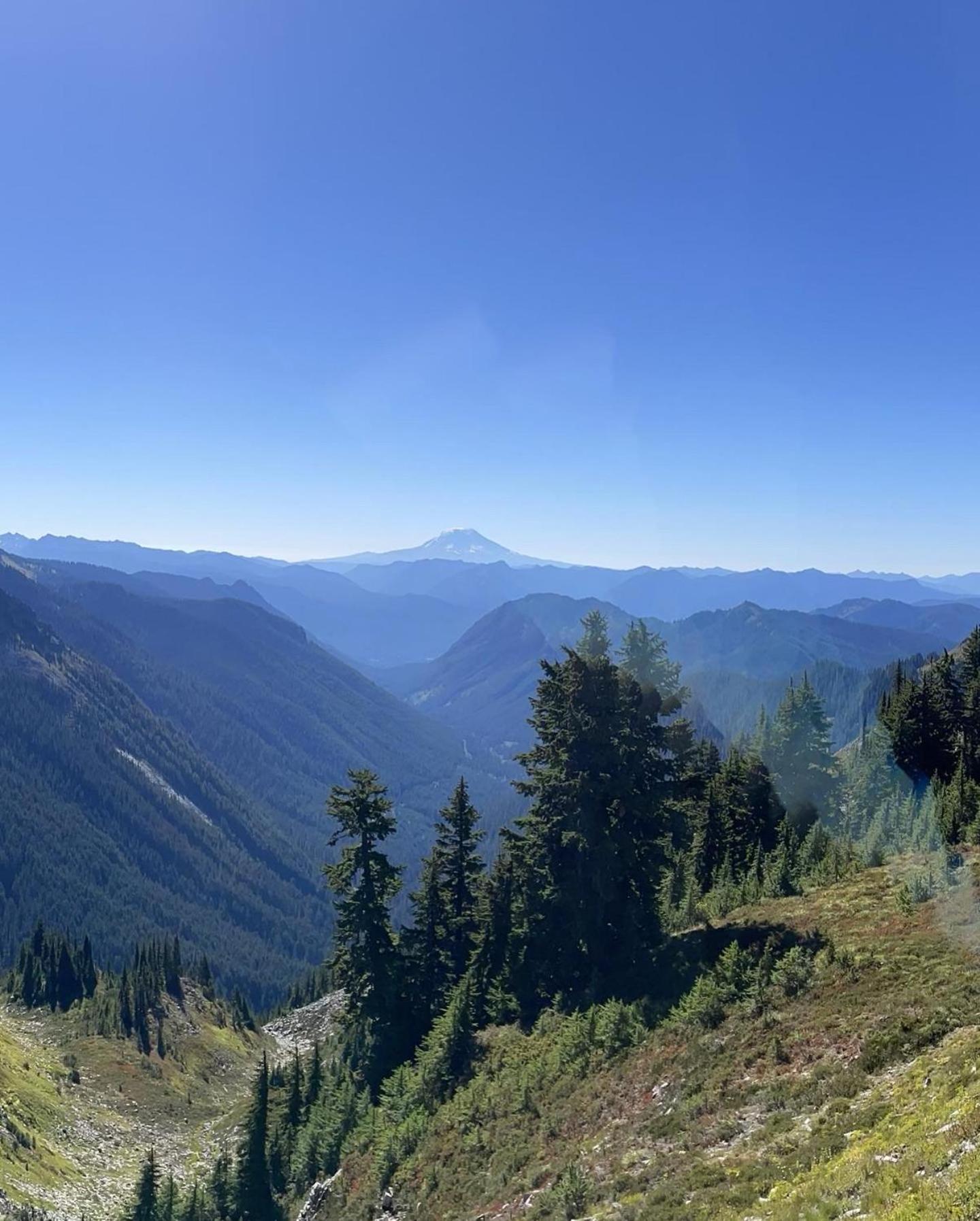 New Modern Cabin! 5Mi To Mt Rainier National Park! Hot Tub & Wifi أشفورد المظهر الخارجي الصورة